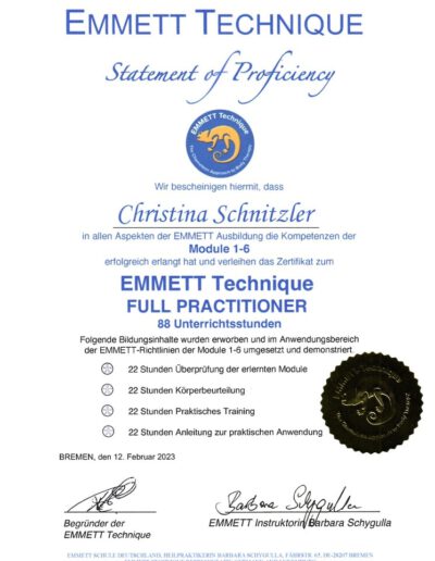 Emmett Technique Modul 1-6