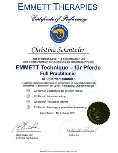 Emmett Therapies Level 1-5