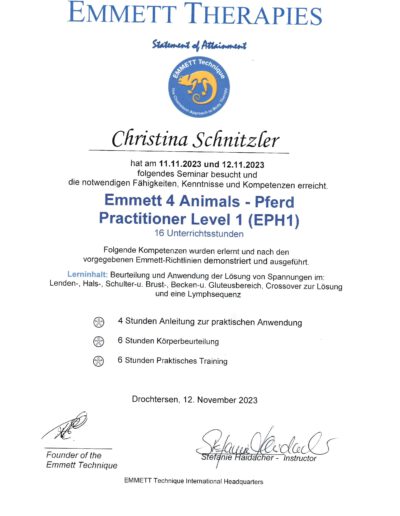 Emmett Therapies Level 1