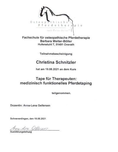 Tape für Therapeuten Pferdetaping