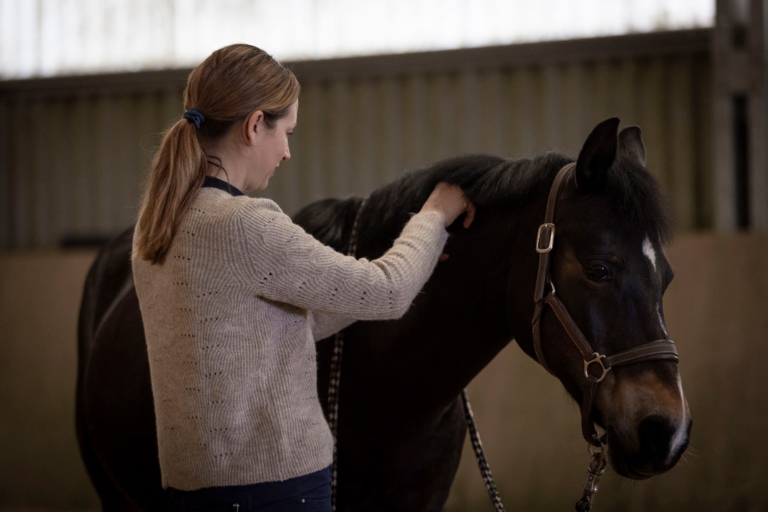 Christina-Schnitzler-Koerperarbeit4Horses-Emmett-Technique-Physiotherapeutische-Behandlung-Physiotherapeutin-Pferd-1-min