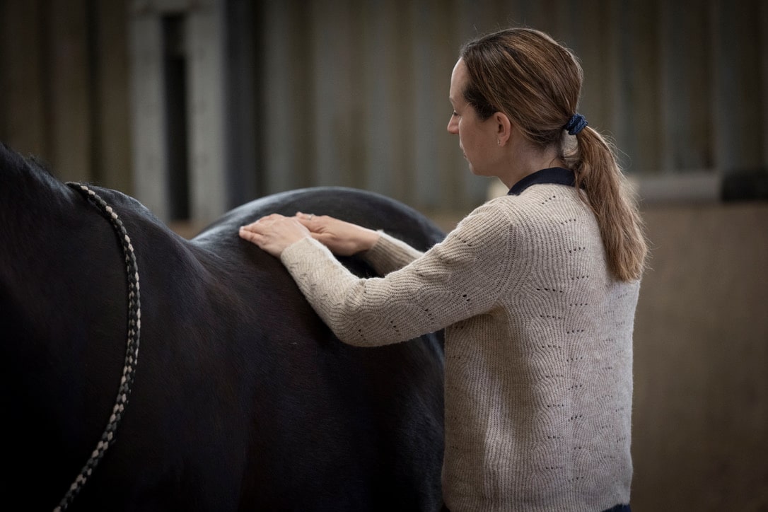 Christina-Schnitzler-Koerperarbeit4Horses-Emmett-Technique-Physiotherapeutische-Behandlung-Physiotherapeutin-Pferd-2-min